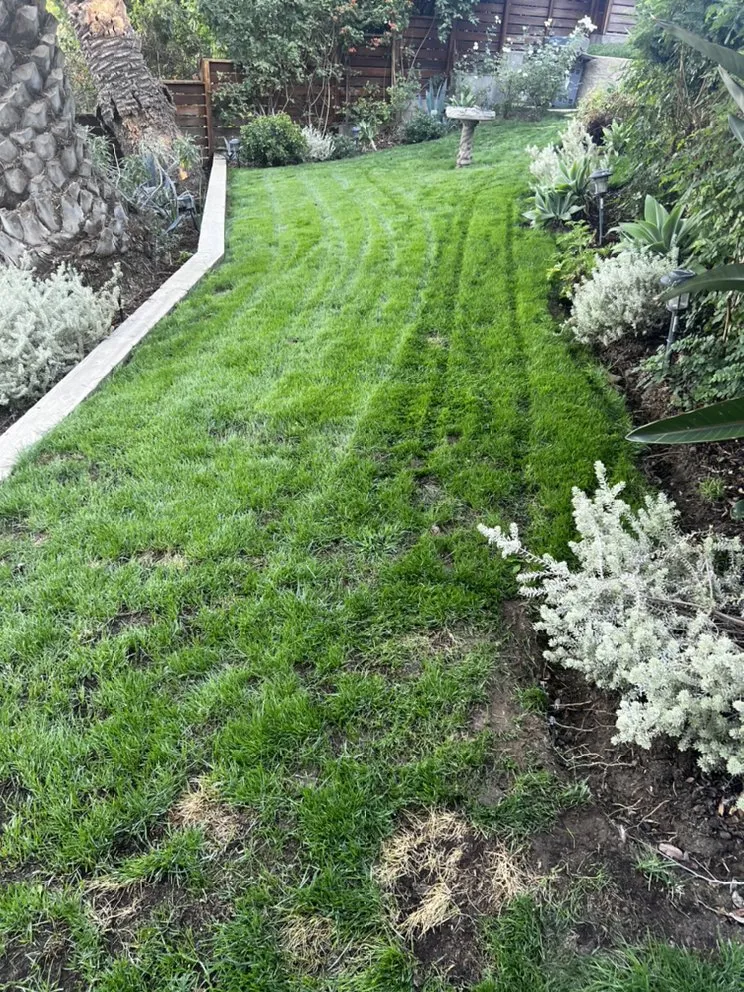 Professional landscape installation experts serving Los Angeles, CA - DnG Landscaping