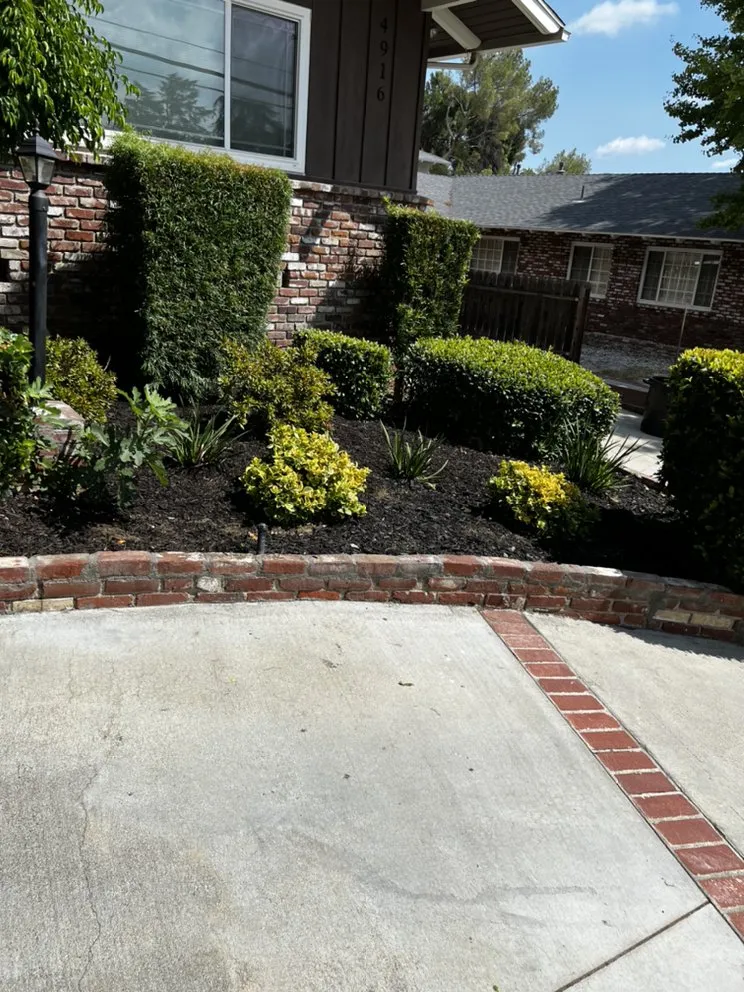 Top-rated outdoor landscaping for residential properties in Los Angeles, CA by DnG Landscaping