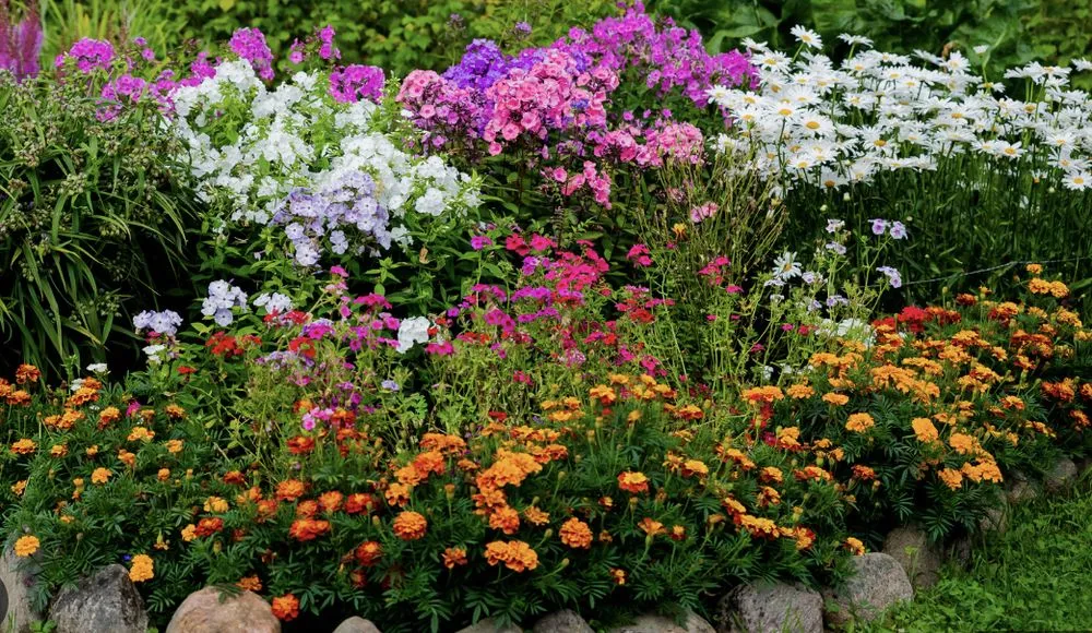 Professional residential landscaping in Cypress, TX - DNG Outdoor Supply