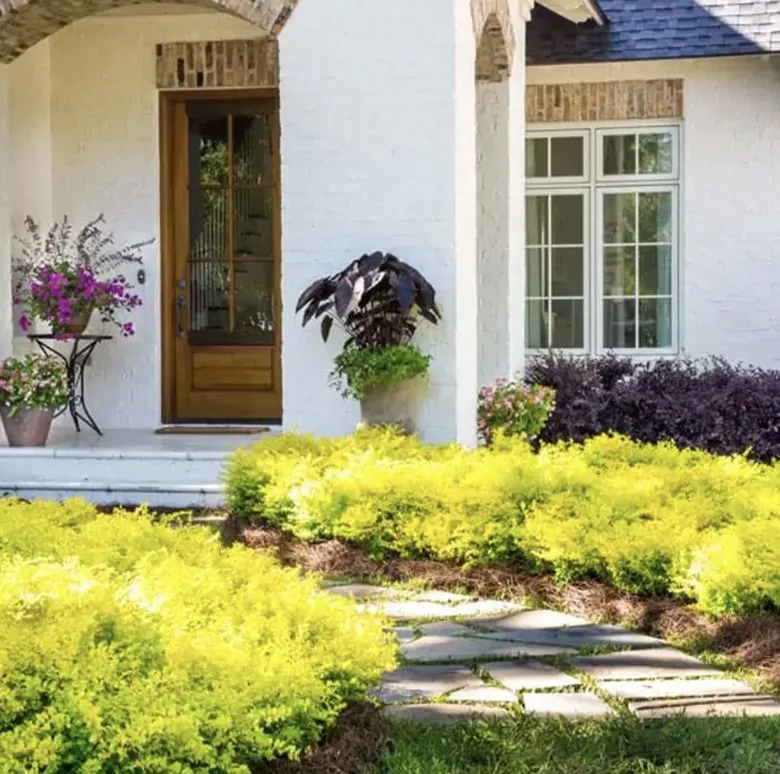 Top-rated residential landscaping for homes across Cypress, TX - DNG Outdoor Supply