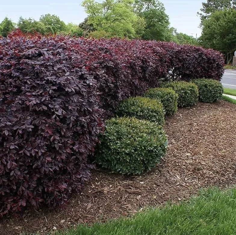 Local landscaping services in Cypress, TX - DNG Outdoor Supply