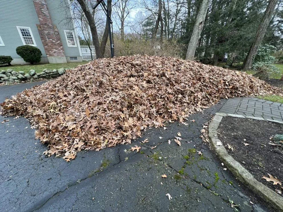 Top-rated garden landscaping experts serving Worcester, MA - DNG Property Maintenance