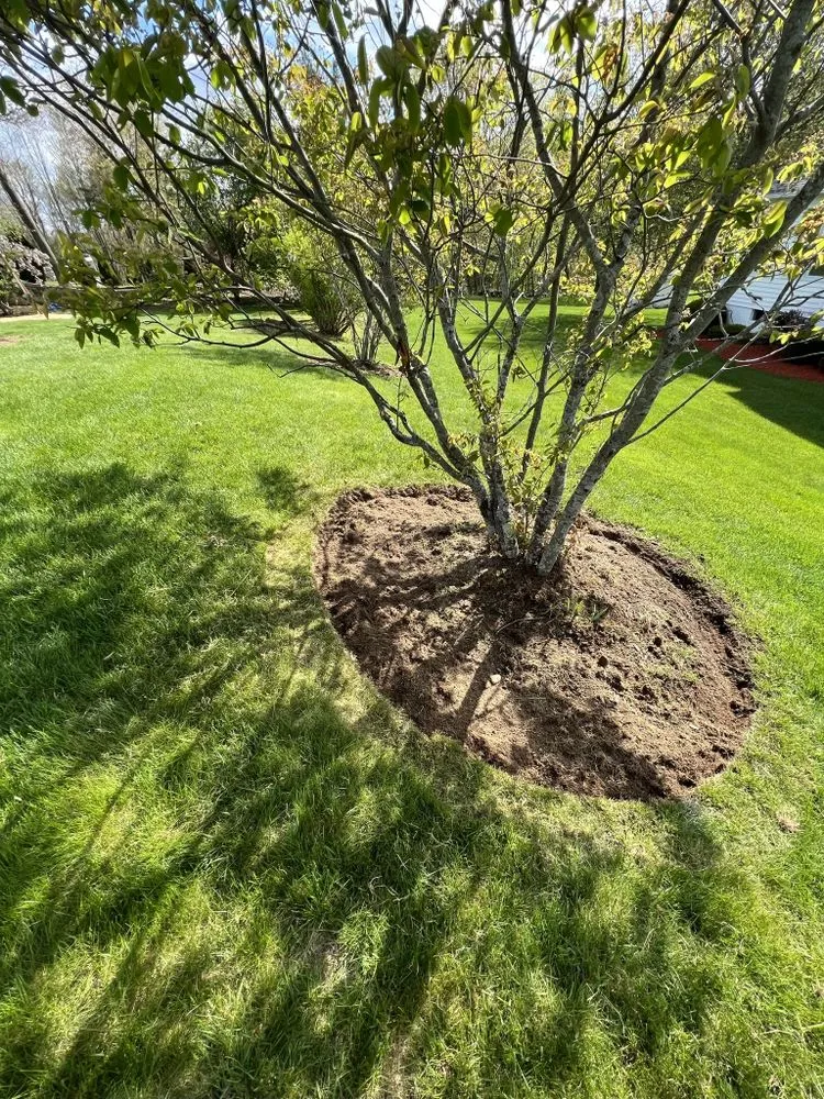 Top-rated garden landscaping in Worcester, MA - DNG Property Maintenance