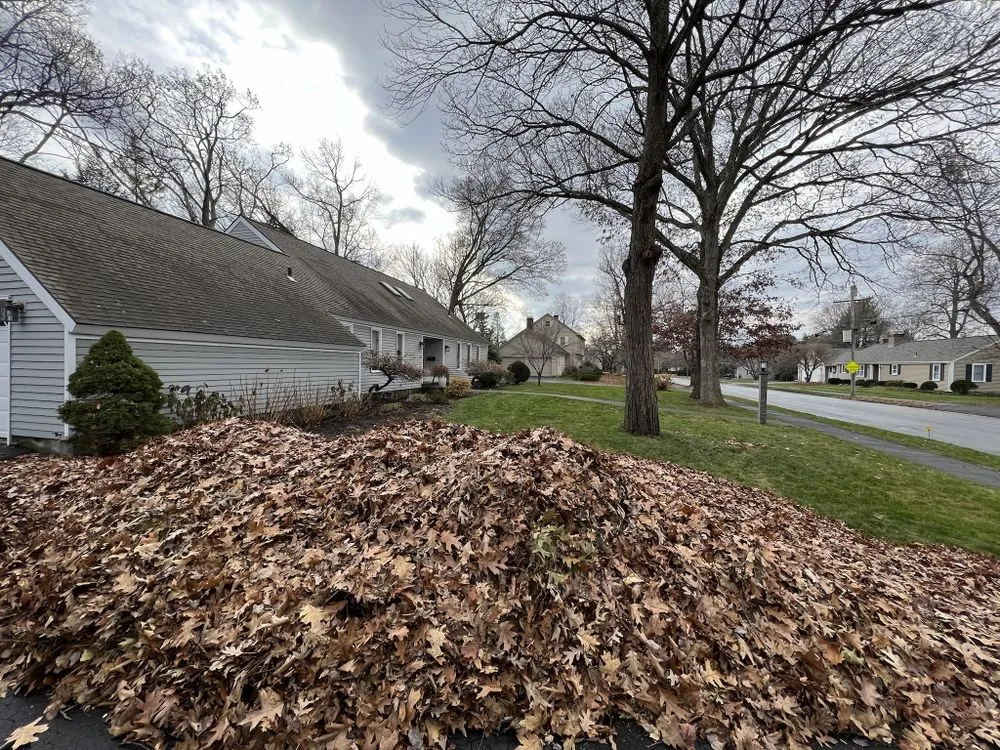 Expert landscape installation in Worcester, MA - DNG Property Maintenance