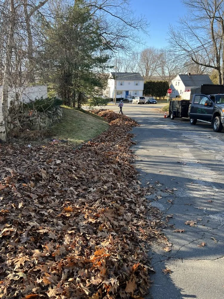 Affordable garden landscaping in Worcester, MA by DNG Property Maintenance