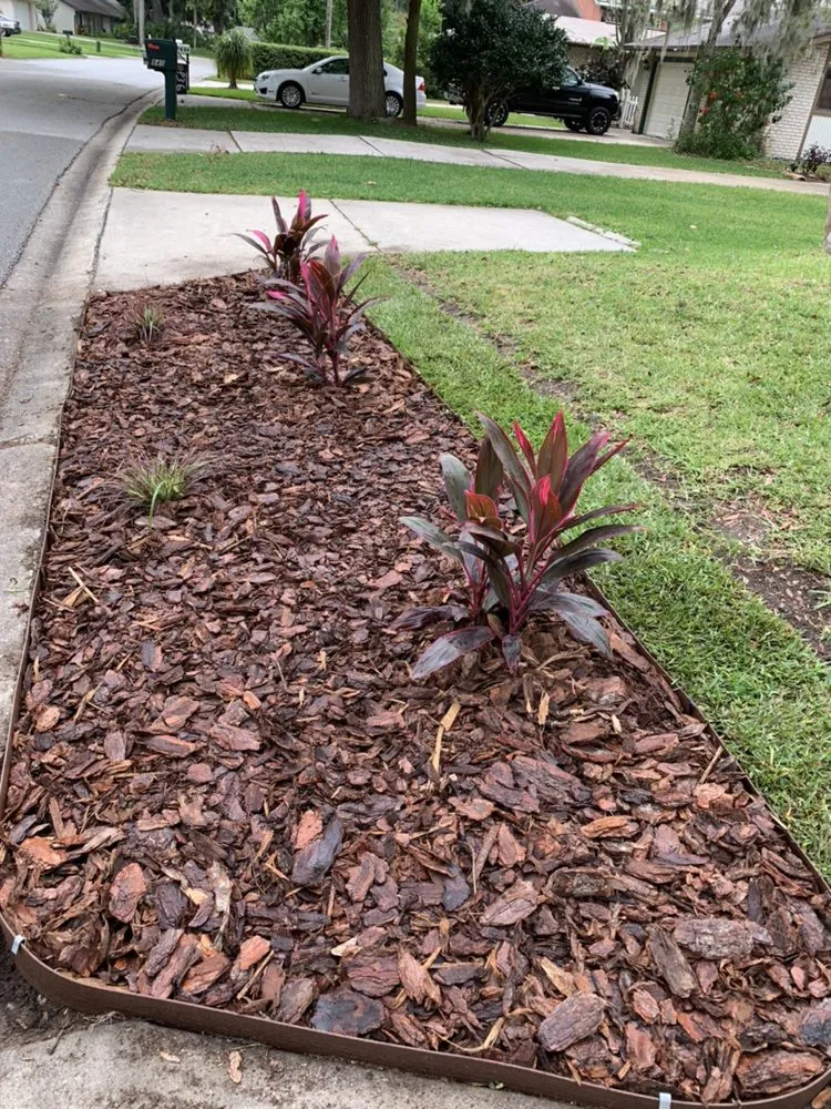 Professional landscape design in South Daytona, FL by DNH Landscape