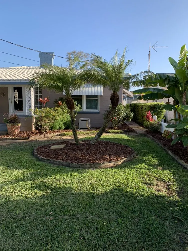 Trusted yard cleanup service for year-round maintenance in South Daytona, FL by DNH Landscape