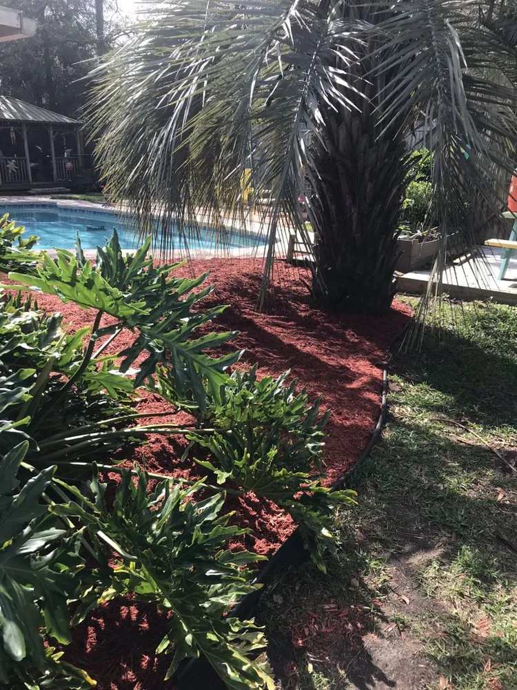 Trusted lawn care service in South Daytona, FL by DNH Landscape