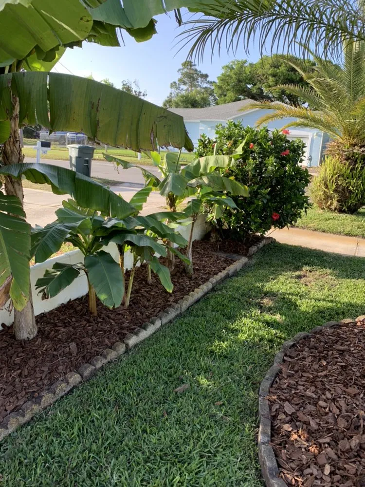 Local lawn mowing service in South Daytona, FL by DNH Landscape