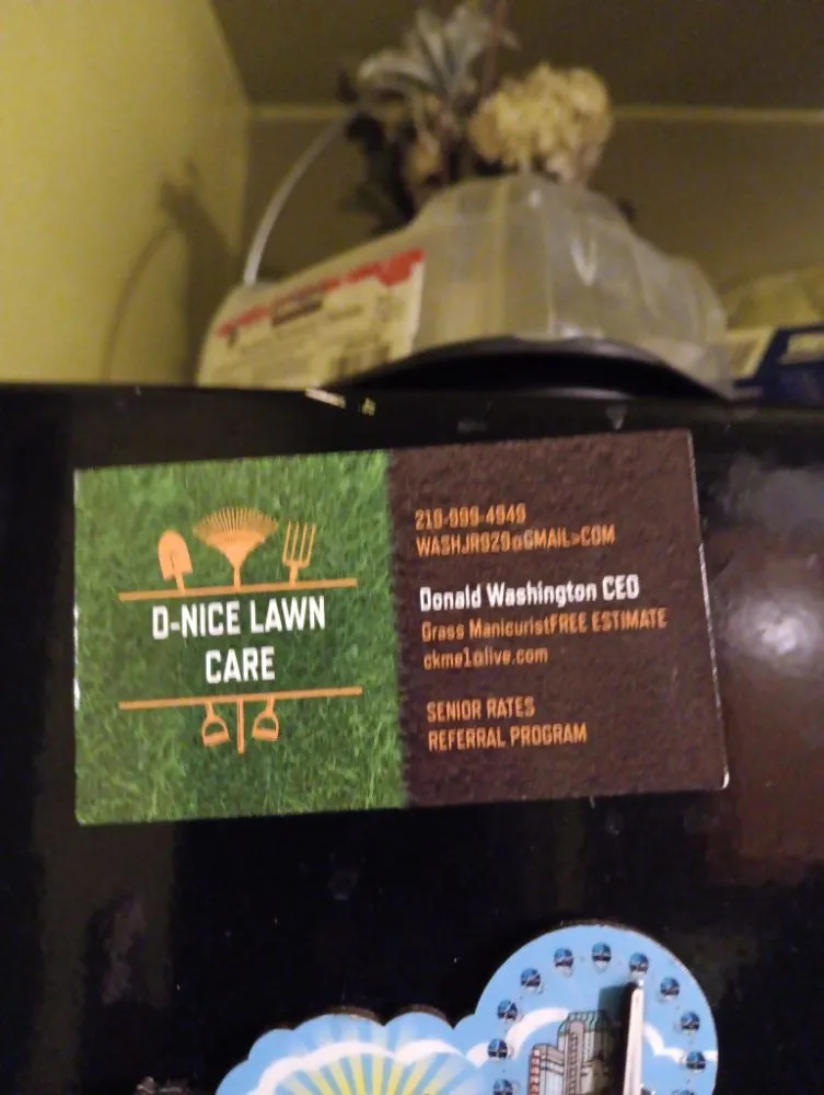 Expert yard cleanup service in Gary, IN by Dnice Lawn Care