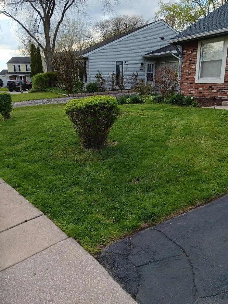 Local yard maintenance experts serving Gary, IN - Dnice Lawn Care