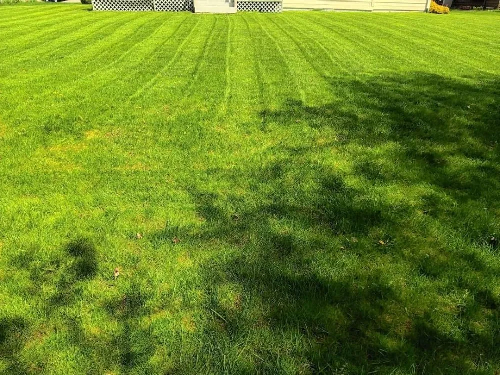 Top-rated outdoor landscaping in Gary, IN - Dnice Lawn Care