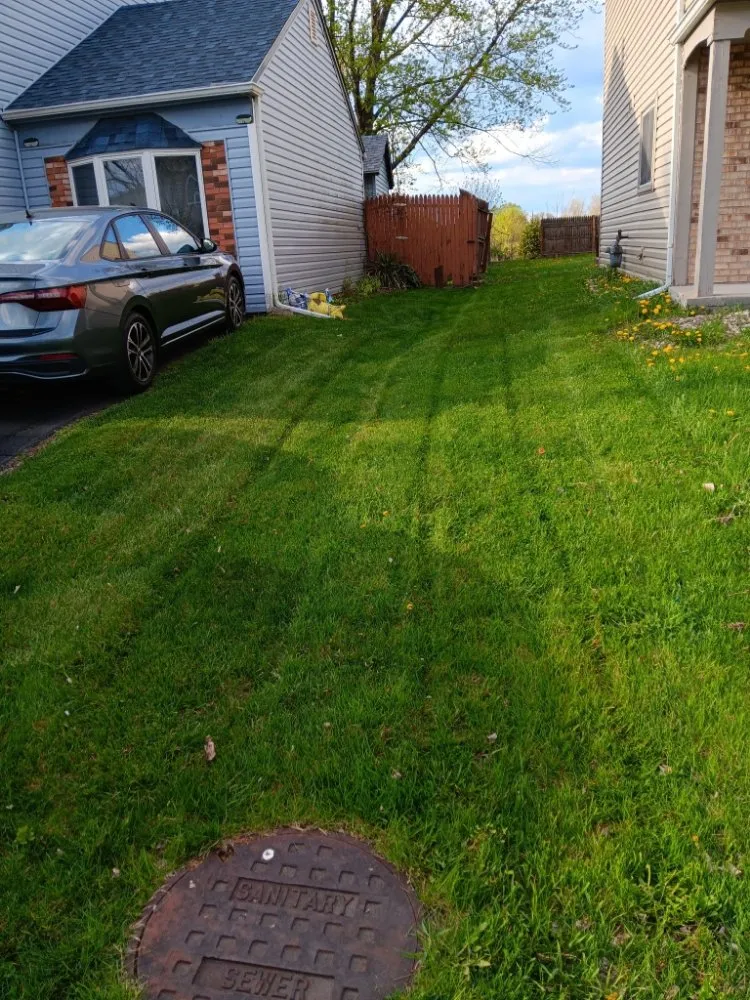 Top-rated garden landscaping for residential properties in Gary, IN by Dnice Lawn Care
