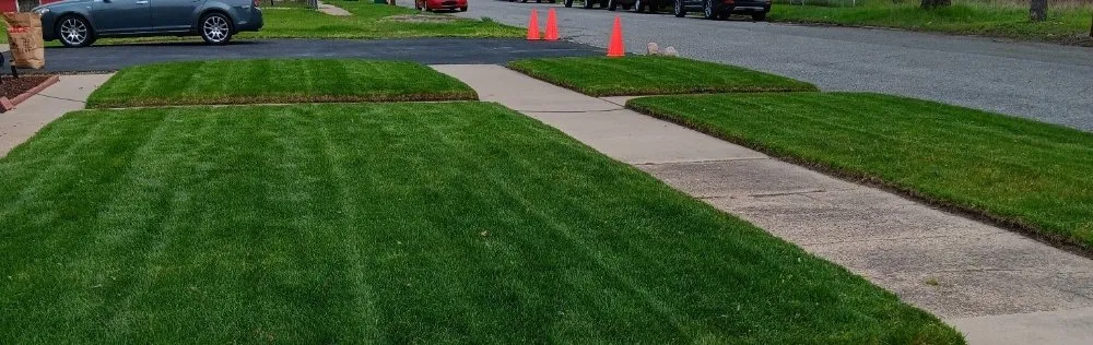 Professional landscaping services in Gary, IN - Dnice Lawn Care