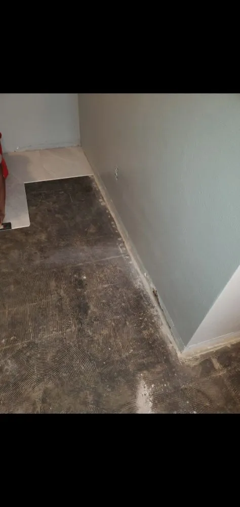 Expert landscape installation for year-round maintenance across Trotwood, OH - D'nique Services