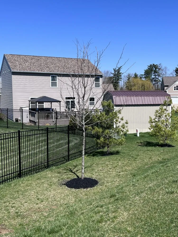 Affordable residential landscaping in San Antonio, TX by DNK Lawncare Services