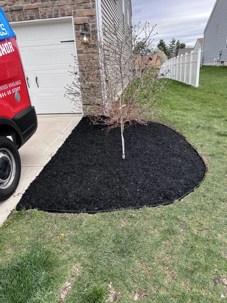 Local yard cleanup service for residential properties in San Antonio, TX by DNK Lawncare Services