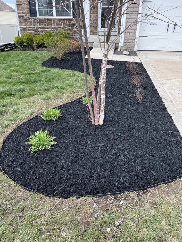 Top-rated residential landscaping for outdoor upgrades across San Antonio, TX - DNK Lawncare Services