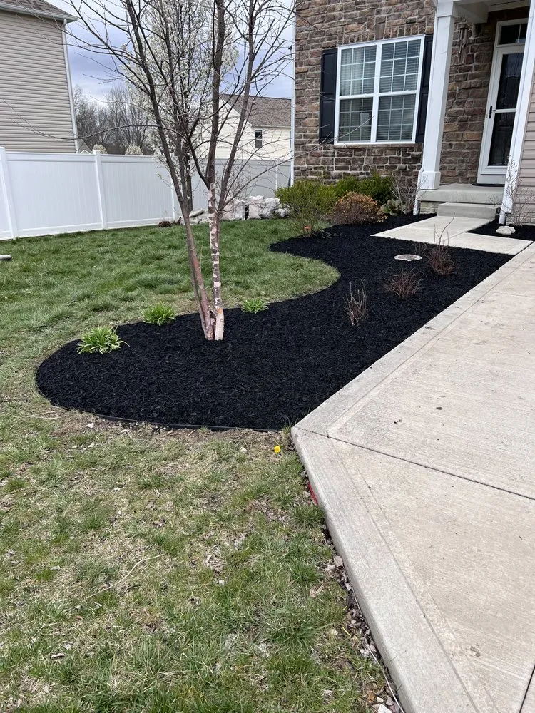 Custom yard maintenance for year-round maintenance in San Antonio, TX by DNK Lawncare Services