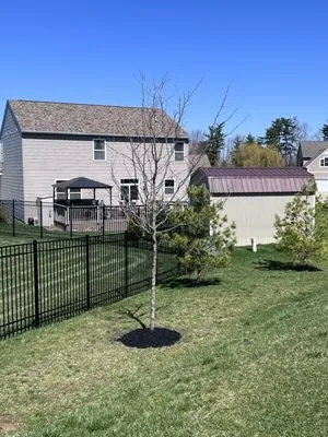 DNK Lawncare Services Logo