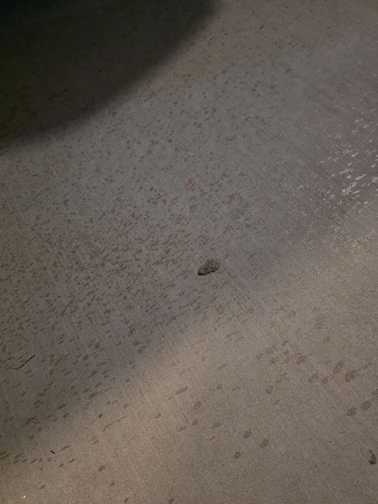 Expert lawn care service for homes in Surfside Beach, SC by DNL Industries