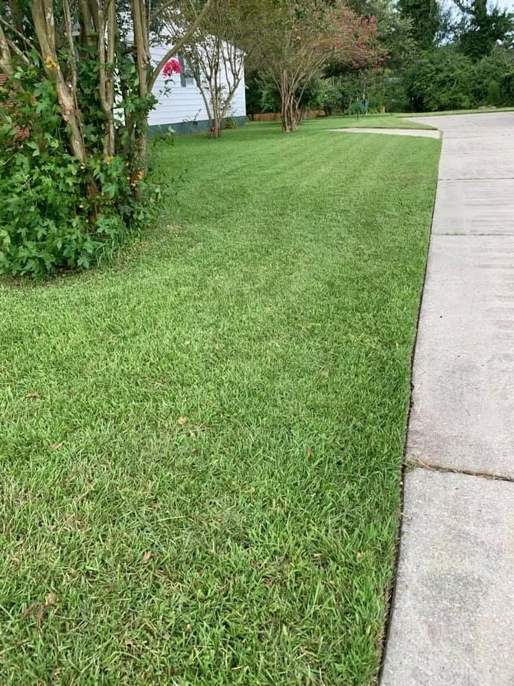 Affordable landscaping services for residential properties in Jacksonville, NC by DNL Lawn Services