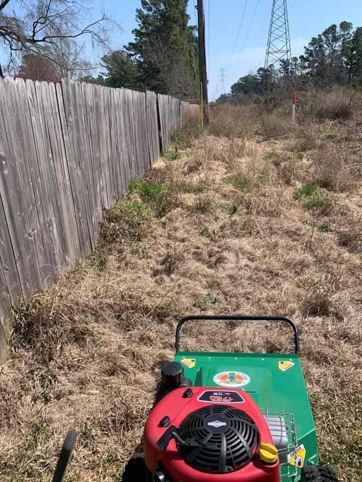 Professional landscape design for beautiful yards in Jacksonville, NC by DNL Lawn Services