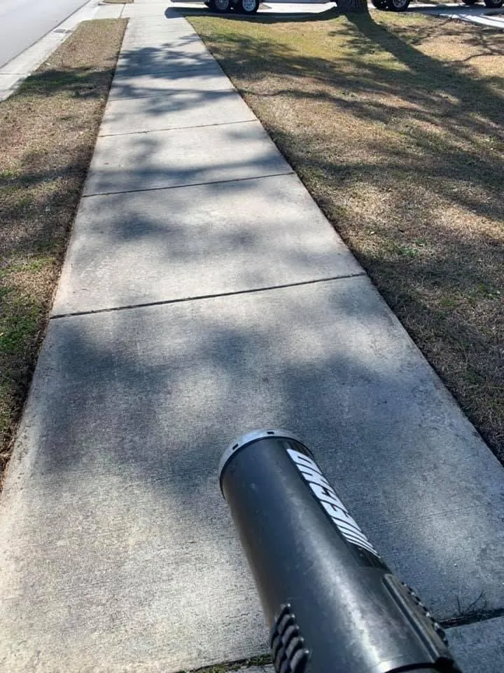 Affordable yard cleanup service for year-round maintenance in Jacksonville, NC by DNL Lawn Services