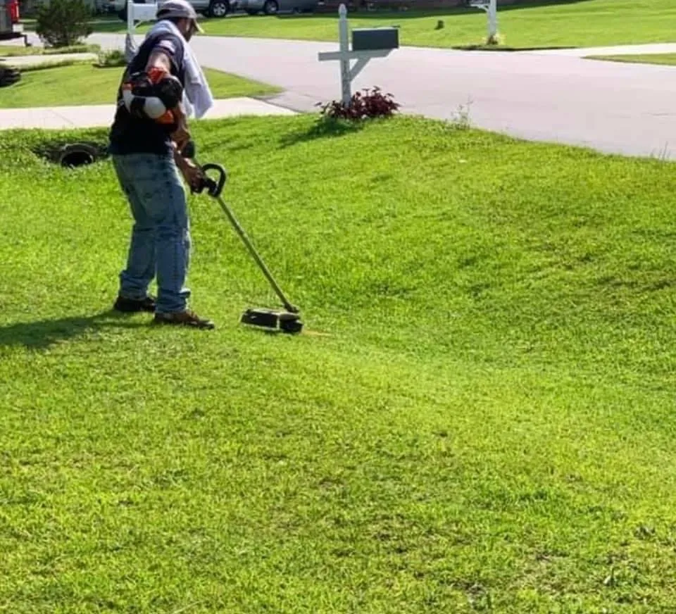 Local yard cleanup service experts serving Jacksonville, NC - DNL Lawn Services