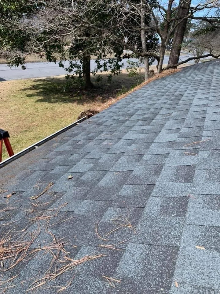 Expert lawn care service in Jacksonville, NC by DNL Lawn Services