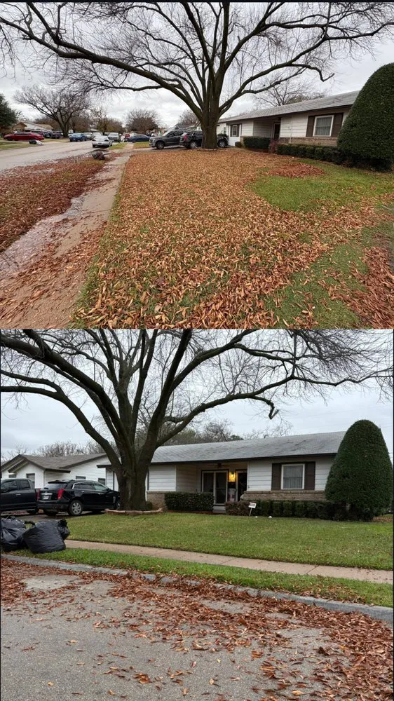 Reliable yard cleanup service for residential properties in Irving, TX by DNR Landscaping