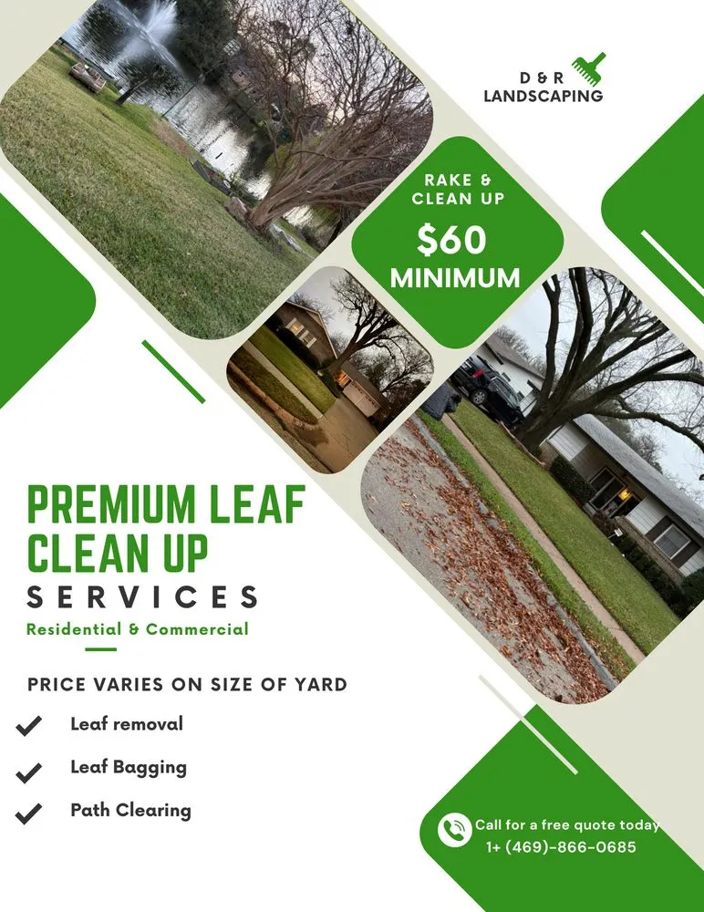 Local outdoor landscaping for year-round maintenance across Irving, TX - DNR Landscaping