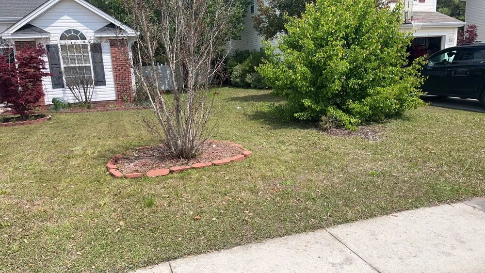 Top-rated outdoor landscaping for outdoor upgrades in Myrtle Beach, SC by DNR Landscaping