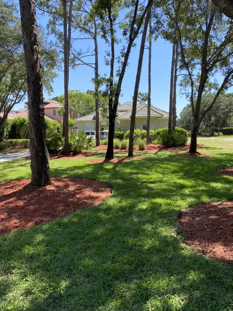 Affordable lawn care service experts serving Orlando, FL - DNR Landscaping