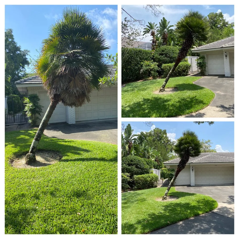 Professional landscape design in Orlando, FL by DNR Landscaping