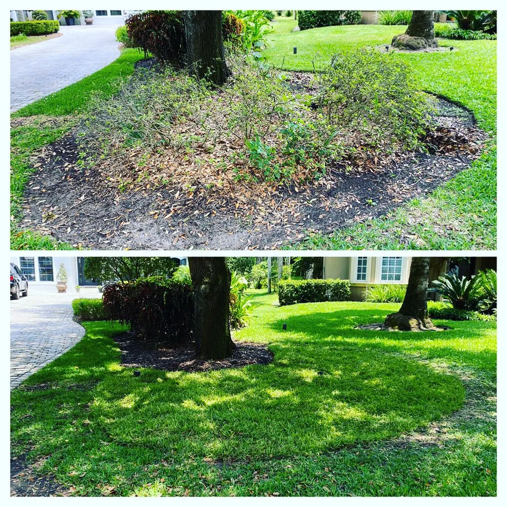 Local landscape design in Orlando, FL - DNR Landscaping