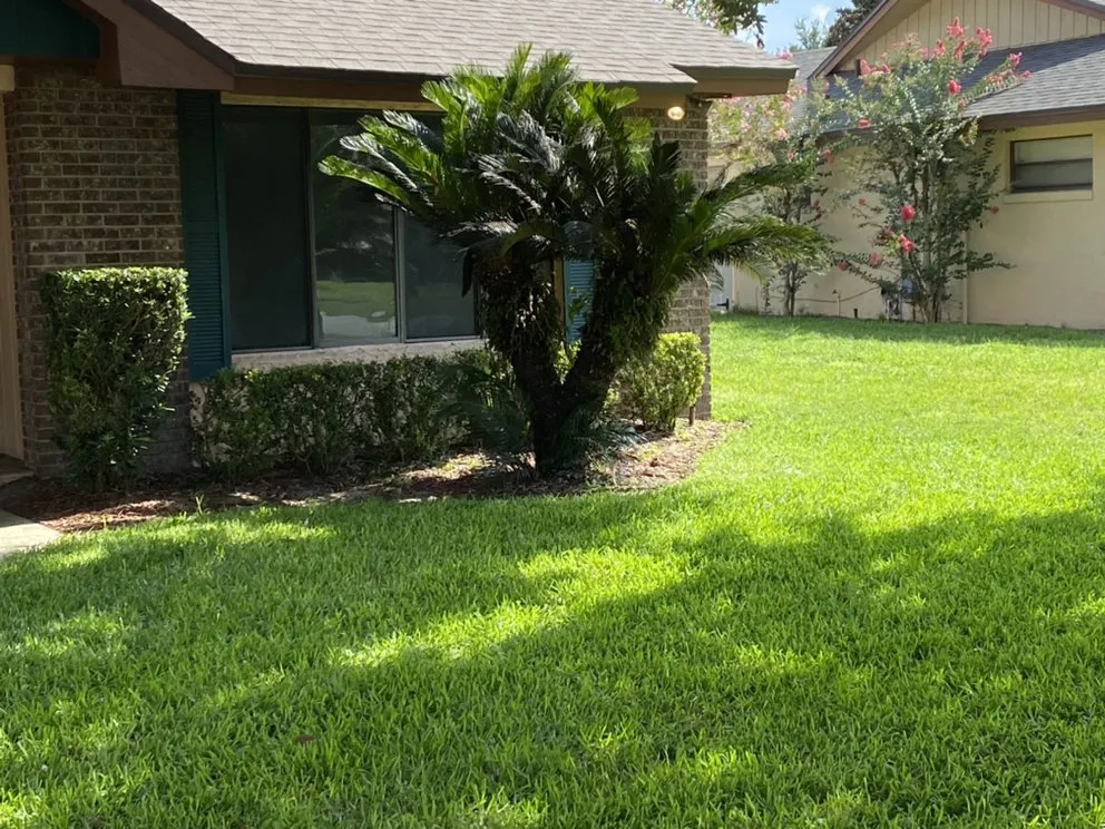 Custom landscape installation in Orlando, FL by DNR Landscaping