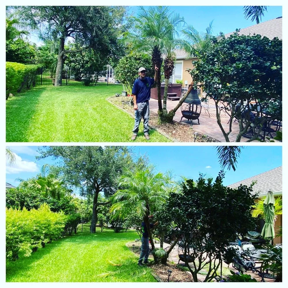Trusted yard cleanup service in Orlando, FL by DNR Landscaping