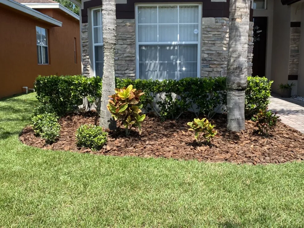 Trusted lawn care service in Orlando, FL - DNR Landscaping