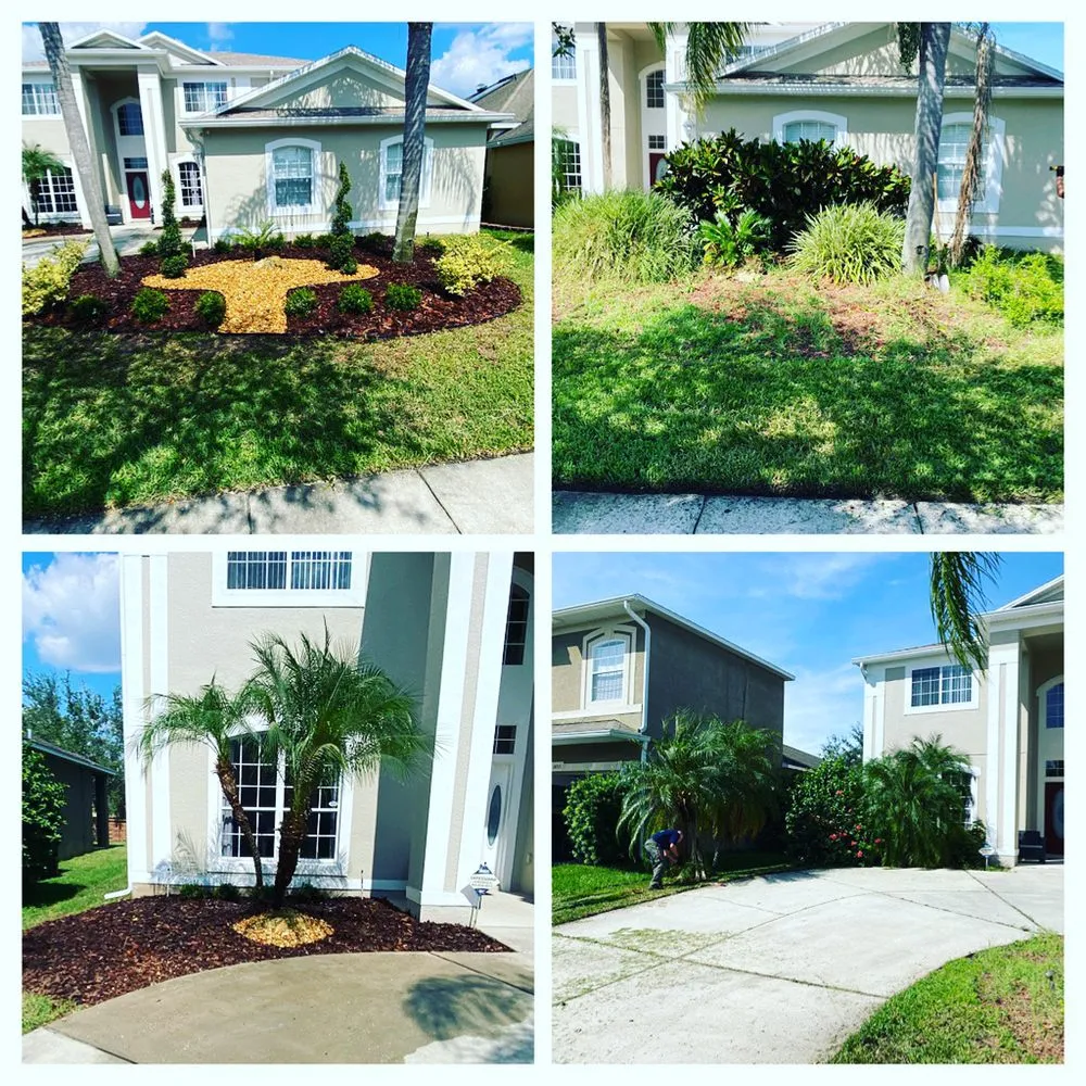Affordable yard maintenance near you in Orlando, FL by DNR Landscaping