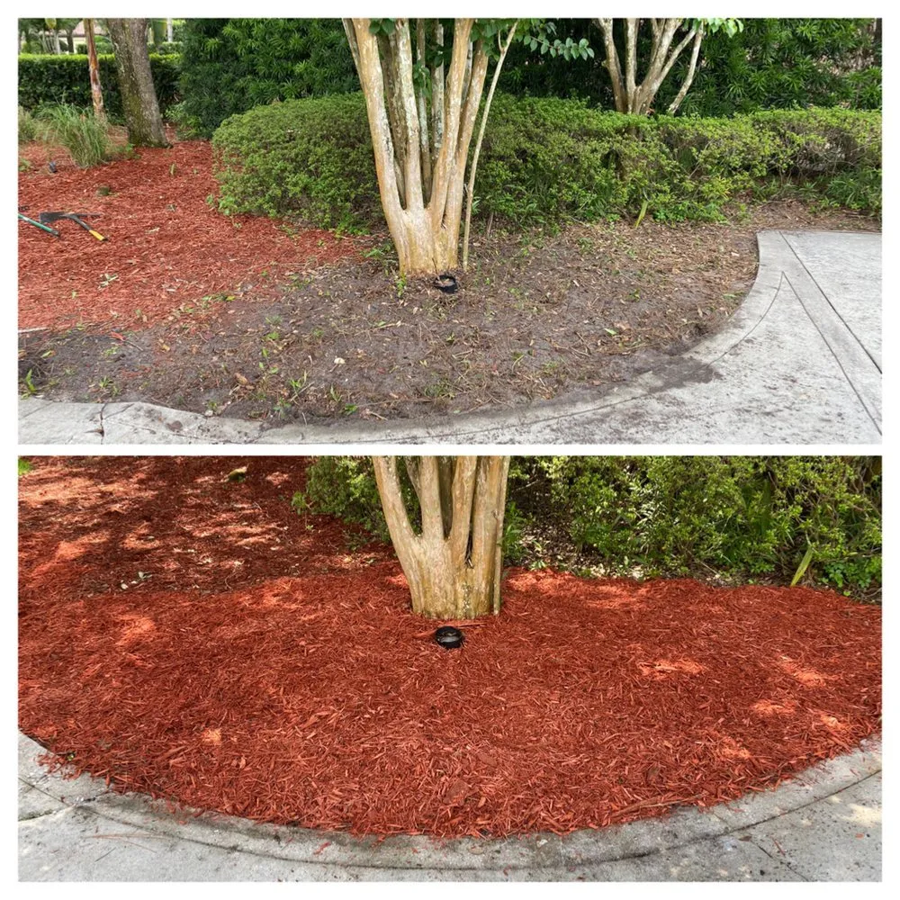 Local yard cleanup service for residential properties across Orlando, FL - DNR Landscaping