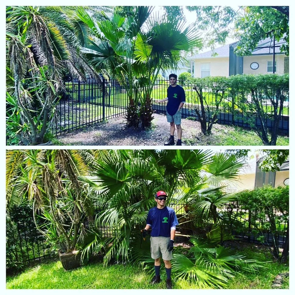 Top-rated garden landscaping in Orlando, FL - DNR Landscaping