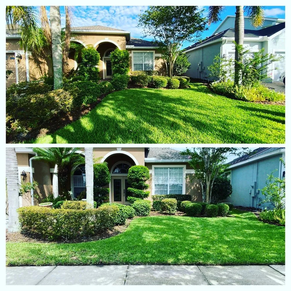 Professional outdoor landscaping near you in Orlando, FL by DNR Landscaping