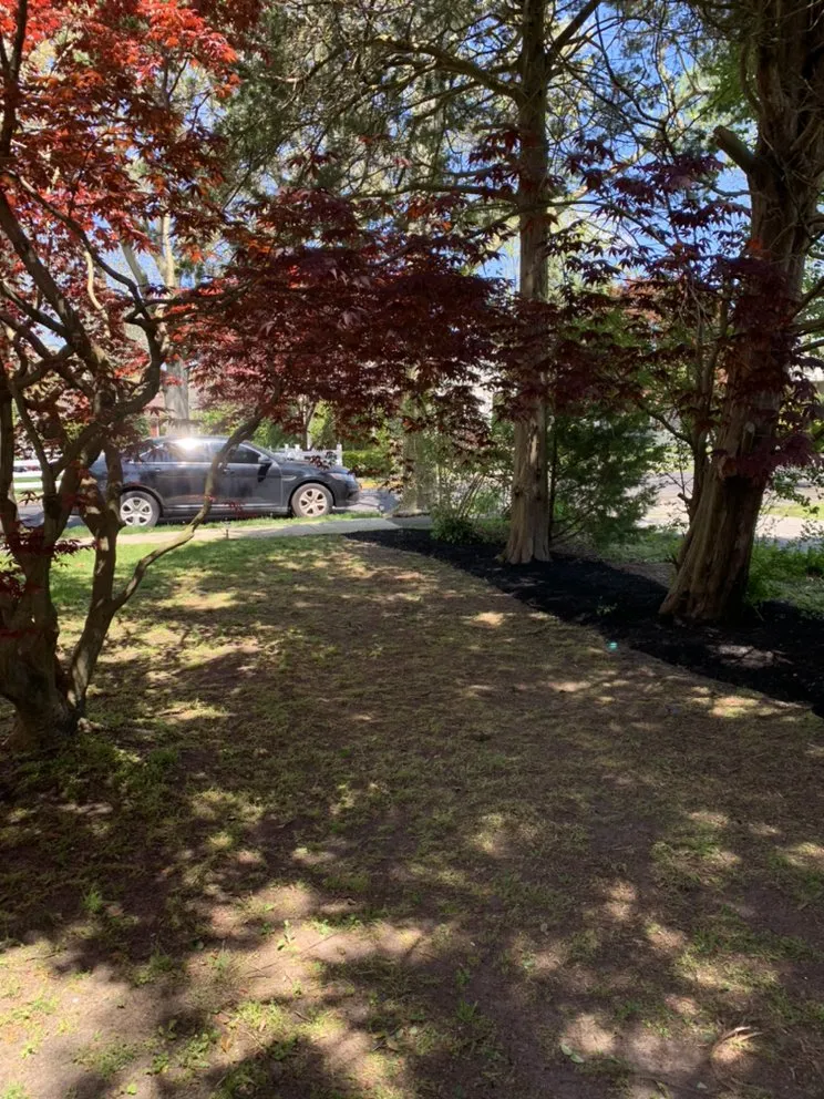 Top-rated yard maintenance with custom design across Egg Harbor Township, NJ - Dnr Services