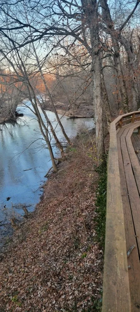 Local yard cleanup service in Marshfield, MO by D&N's Cut & Wash