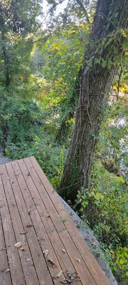 Trusted outdoor landscaping in Marshfield, MO by D&N's Cut & Wash