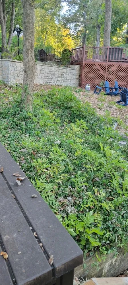 Trusted residential landscaping with custom design in Marshfield, MO by D&N's Cut & Wash