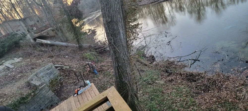 Trusted lawn care service for beautiful yards in Marshfield, MO by D&N's Cut & Wash