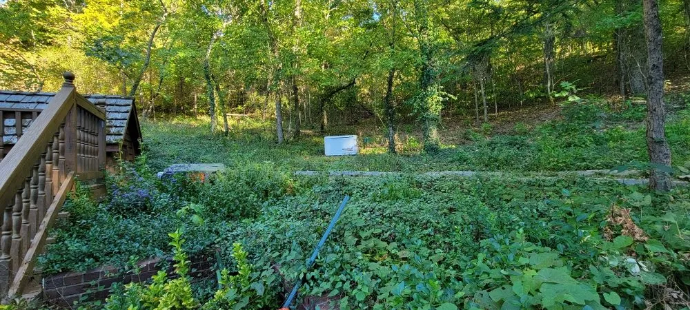 Affordable lawn mowing service in Marshfield, MO - D&N's Cut & Wash