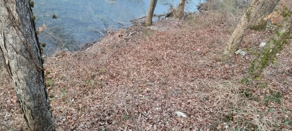 Custom lawn mowing service in Marshfield, MO by D&N's Cut & Wash